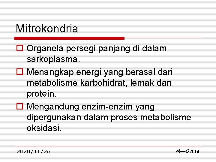 Mitrokondria o Organela persegi panjang di dalam sarkoplasma. o Menangkap energi yang berasal dari