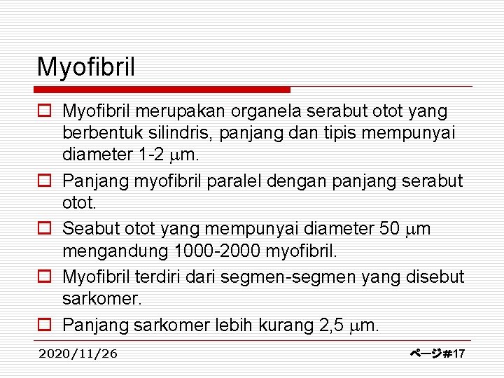 Myofibril o Myofibril merupakan organela serabut otot yang berbentuk silindris, panjang dan tipis mempunyai