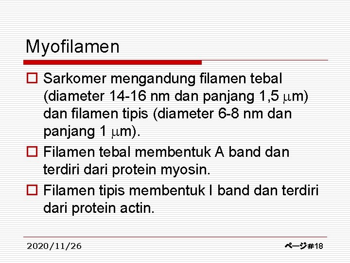 Myofilamen o Sarkomer mengandung filamen tebal (diameter 14 -16 nm dan panjang 1, 5