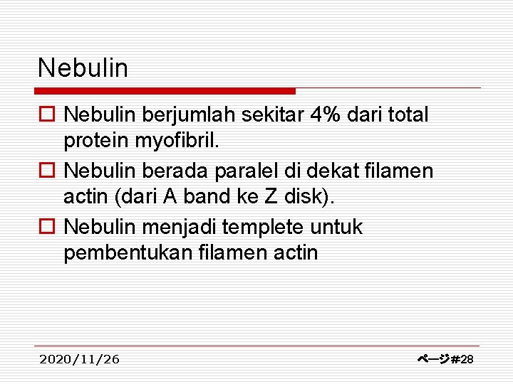 Nebulin o Nebulin berjumlah sekitar 4% dari total protein myofibril. o Nebulin berada paralel