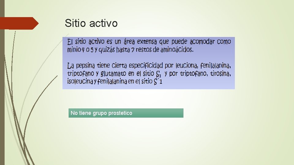 Sitio activo No tiene grupo prostetico 