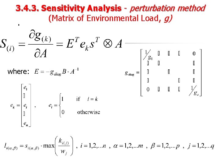 3. 4. 3. Sensitivity Analysis - perturbation method (Matrix of Environmental Load, g) where: