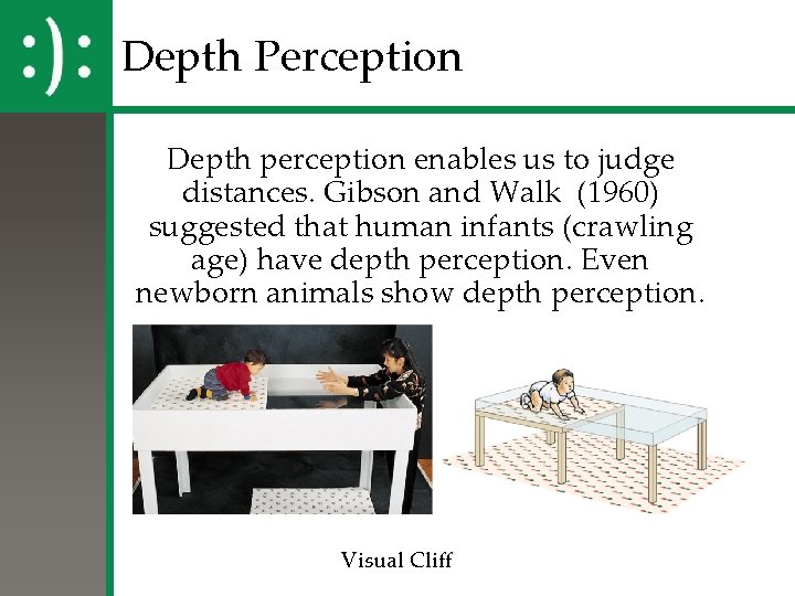 Depth Perception Depth perception enables us to judge distances. Gibson and Walk (1960) suggested Depth Perception Depth perception enables us to judge distances. Gibson and Walk (1960) suggested