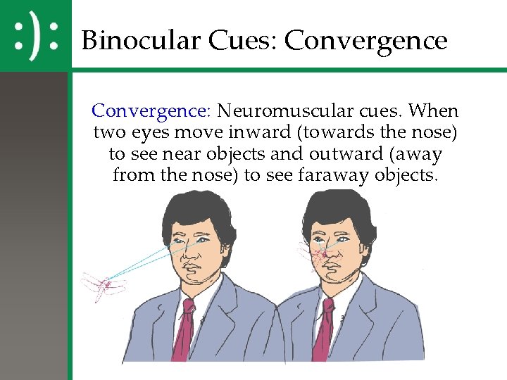 Binocular Cues: Convergence: Neuromuscular cues. When two eyes move inward (towards the nose) to Binocular Cues: Convergence: Neuromuscular cues. When two eyes move inward (towards the nose) to
