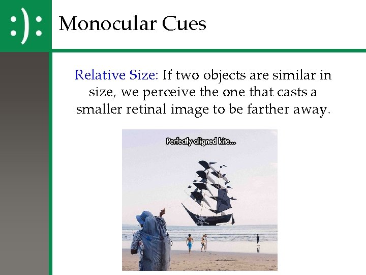 Monocular Cues Relative Size: If two objects are similar in size, we perceive the Monocular Cues Relative Size: If two objects are similar in size, we perceive the