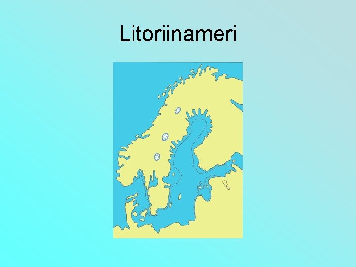 Litoriinameri 