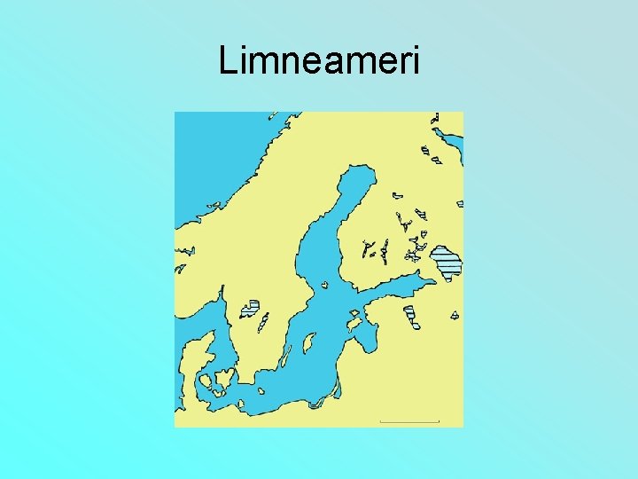 Limneameri 