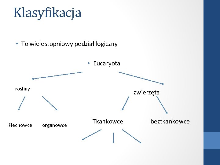 Klasyfikacja • To wielostopniowy podział logiczny • Eucaryota rośliny Plechowce zwierzęta organowce Tkankowce beztkankowce