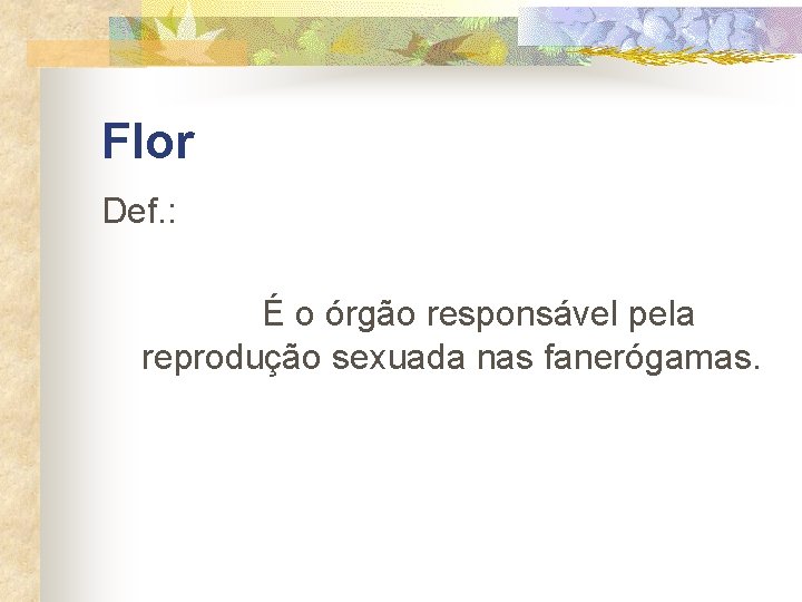 Flor Def. : É o órgão responsável pela reprodução sexuada nas fanerógamas. 