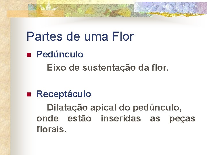 Partes de uma Flor n Pedúnculo Eixo de sustentação da flor. n Receptáculo Dilatação
