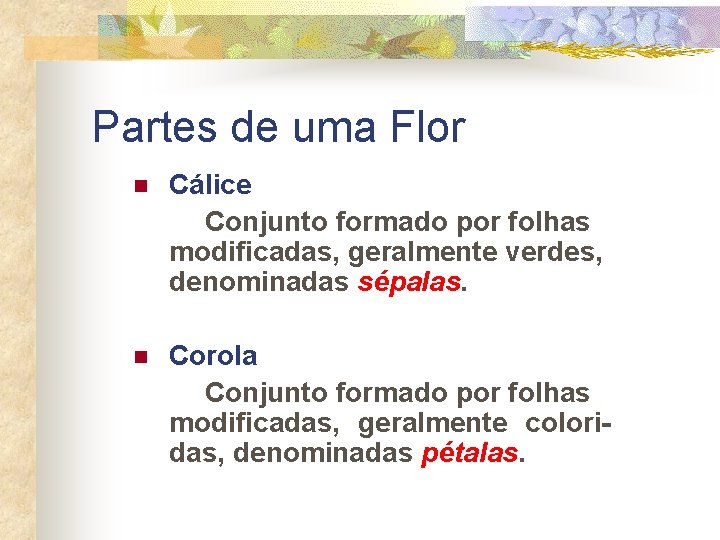 Partes de uma Flor n Cálice Conjunto formado por folhas modificadas, geralmente verdes, denominadas
