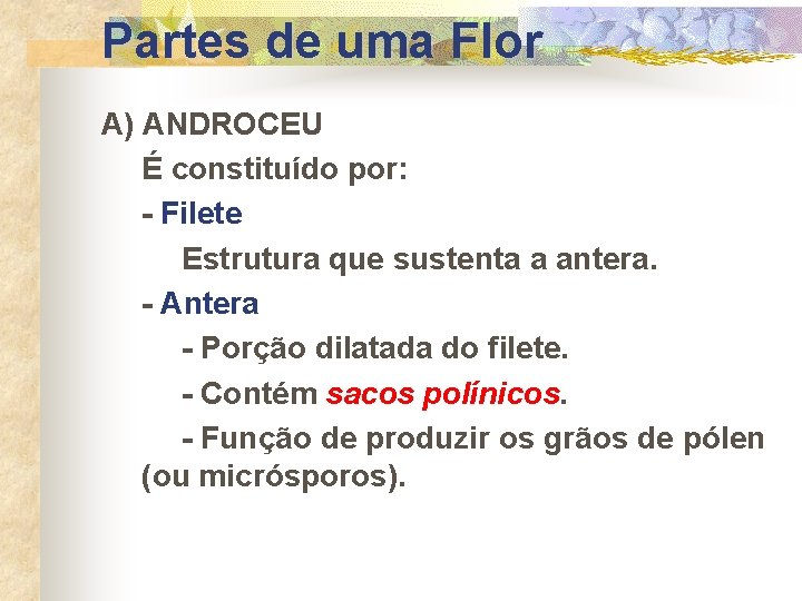Partes de uma Flor A) ANDROCEU É constituído por: - Filete Estrutura que sustenta