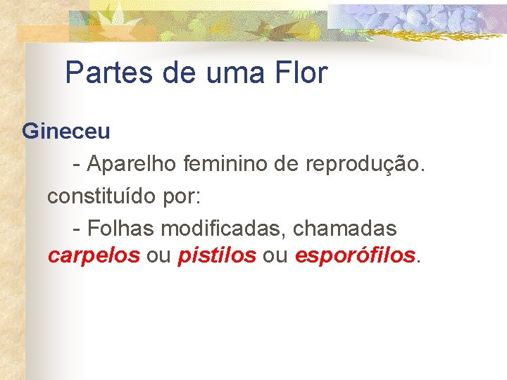 Partes de uma Flor Gineceu - Aparelho feminino de reprodução. constituído por: - Folhas