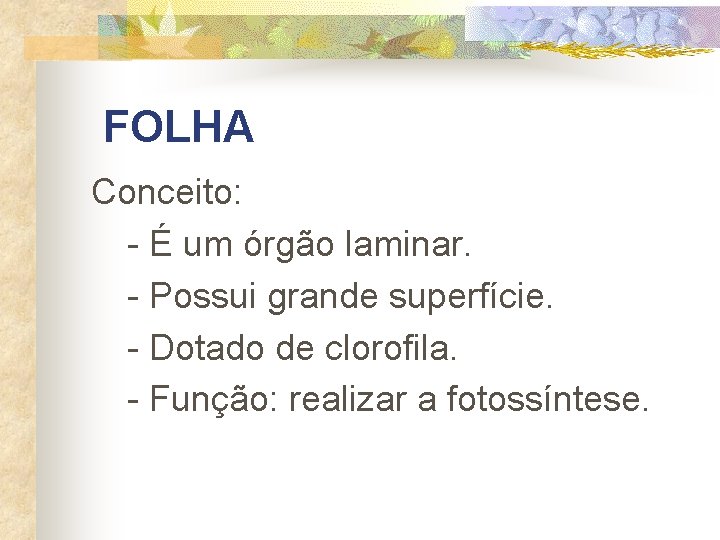  FOLHA Conceito: - É um órgão laminar. - Possui grande superfície. - Dotado