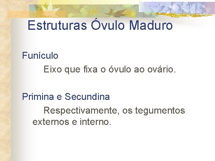Estruturas Óvulo Maduro Funículo Eixo que fixa o óvulo ao ovário. Primina e Secundina