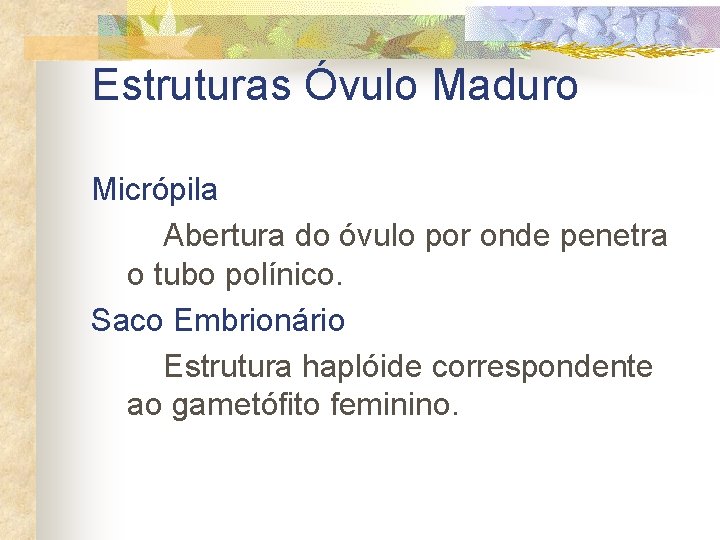 Estruturas Óvulo Maduro Micrópila Abertura do óvulo por onde penetra o tubo polínico. Saco