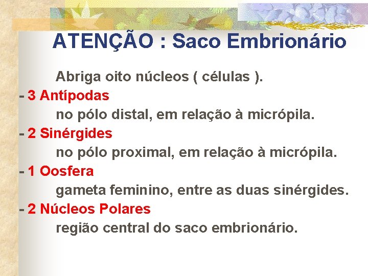  ATENÇÃO : Saco Embrionário Abriga oito núcleos ( células ). - 3 Antípodas