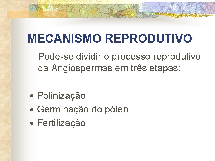MECANISMO REPRODUTIVO Pode-se dividir o processo reprodutivo da Angiospermas em três etapas: · Polinização