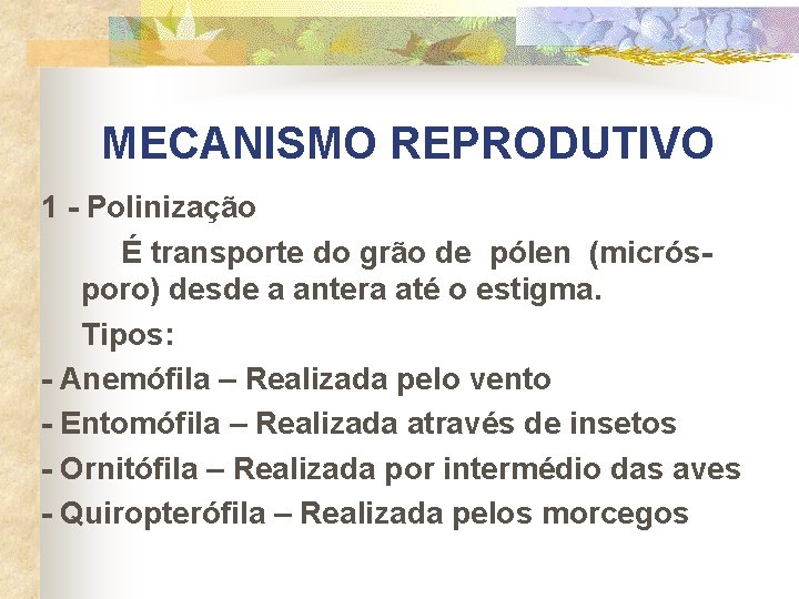 MECANISMO REPRODUTIVO 1 - Polinização É transporte do grão de pólen (micrósporo) desde a