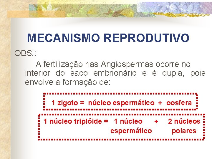 MECANISMO REPRODUTIVO OBS. : A fertilização nas Angiospermas ocorre no interior do saco embrionário