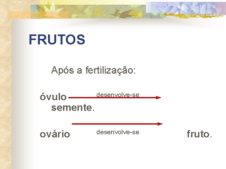 FRUTOS Após a fertilização: desenvolve-se óvulo semente. ovário desenvolve-se fruto. 