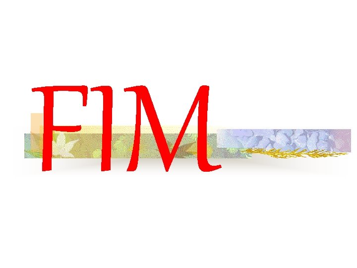 FIM 