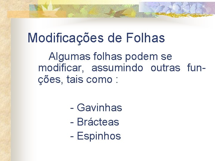 Modificações de Folhas Algumas folhas podem se modificar, assumindo outras funções, tais como :