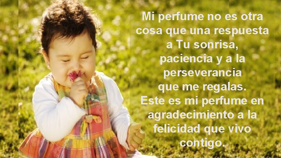 Mi perfume no es otra cosa que una respuesta a Tu sonrisa, paciencia y