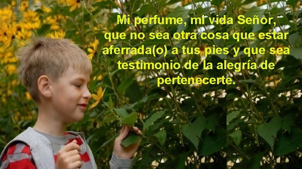 Mi perfume, mi vida Señor, que no sea otra cosa que estar aferrada(o) a