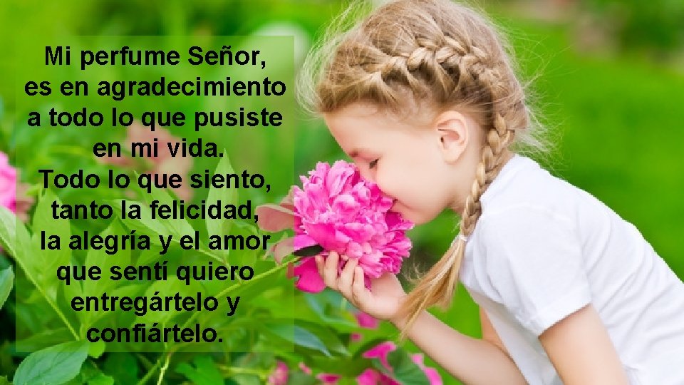 Mi perfume Señor, es en agradecimiento a todo lo que pusiste en mi vida.