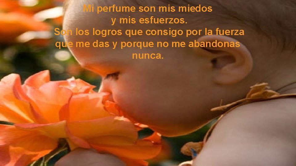 Mi perfume son mis miedos y mis esfuerzos. Son los logros que consigo por