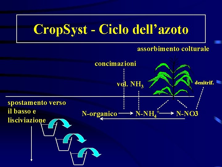 Crop. Syst - Ciclo dell’azoto assorbimento colturale concimazioni vol. NH 3 spostamento verso il