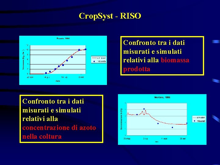Crop. Syst - RISO Confronto tra i dati misurati e simulati relativi alla biomassa