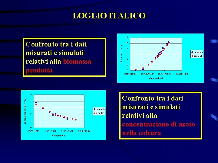 LOGLIO ITALICO Confronto tra i dati misurati e simulati relativi alla biomassa prodotta Confronto