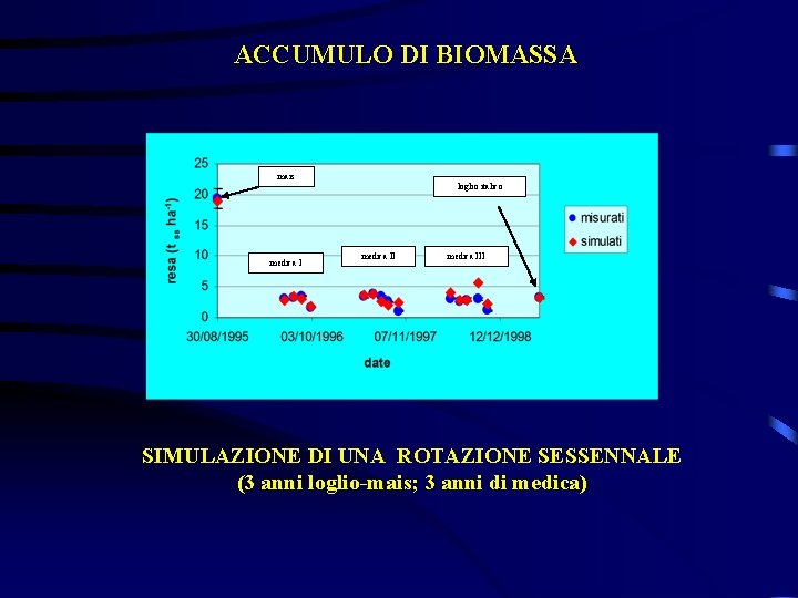 ACCUMULO DI BIOMASSA mais loglio italico medica III SIMULAZIONE DI UNA ROTAZIONE SESSENNALE (3