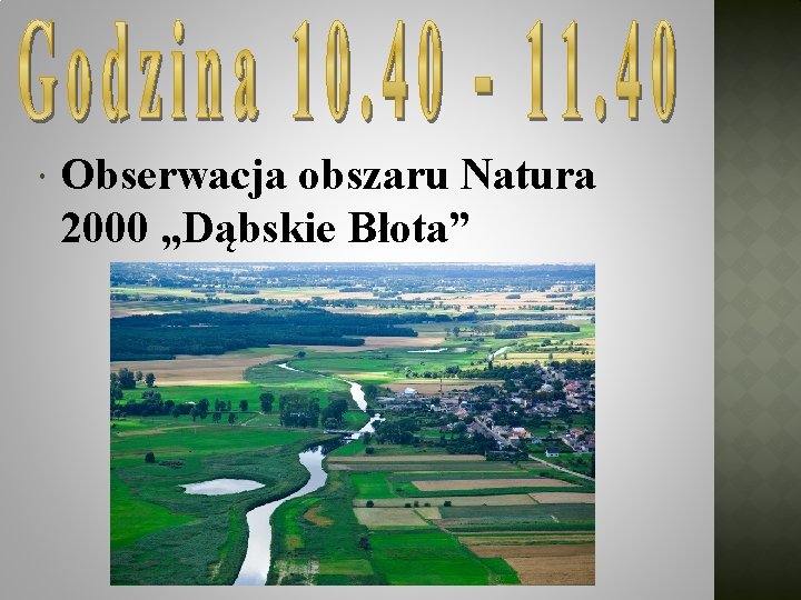  Obserwacja obszaru Natura 2000 „Dąbskie Błota” 