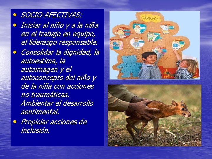  • SOCIO-AFECTIVAS: • Iniciar al niño y a la niña en el trabajo