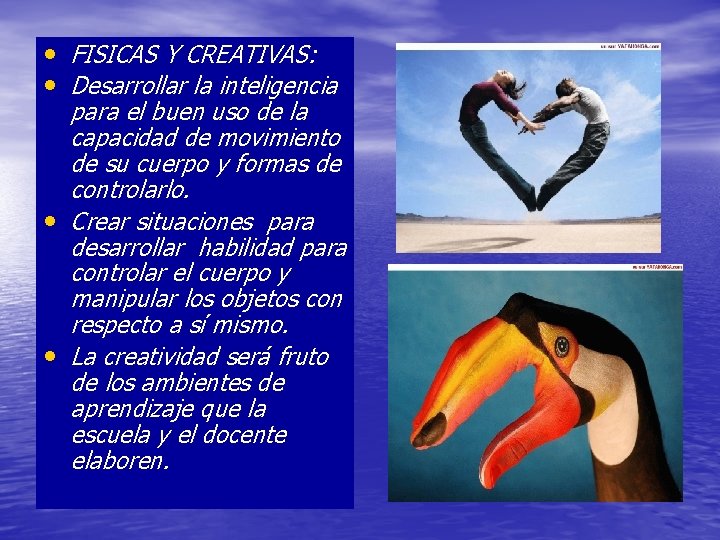  • FISICAS Y CREATIVAS: • Desarrollar la inteligencia para el buen uso de