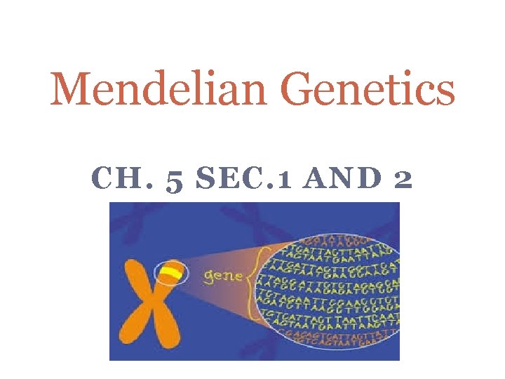 Mendelian Genetics CH. 5 SEC. 1 AND 2 