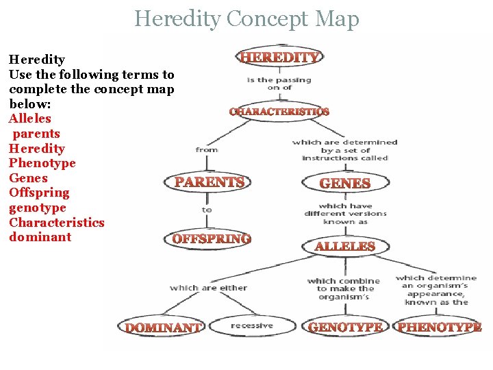 Heredity Concept Map Heredity Use the following terms to complete the concept map below: