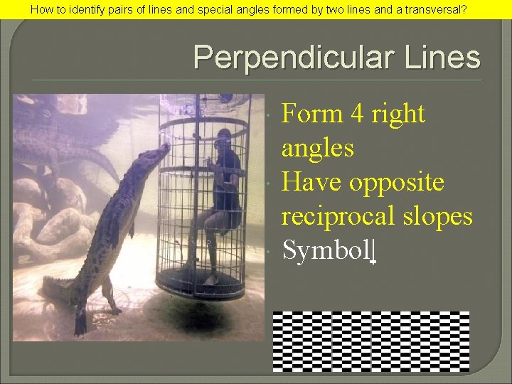 How to identify pairs of lines and special angles formed by two lines and