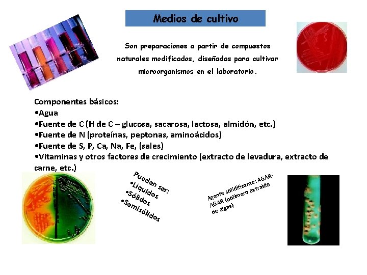 Medios de cultivo Son preparaciones a partir de compuestos naturales modificados, diseñadas para cultivar