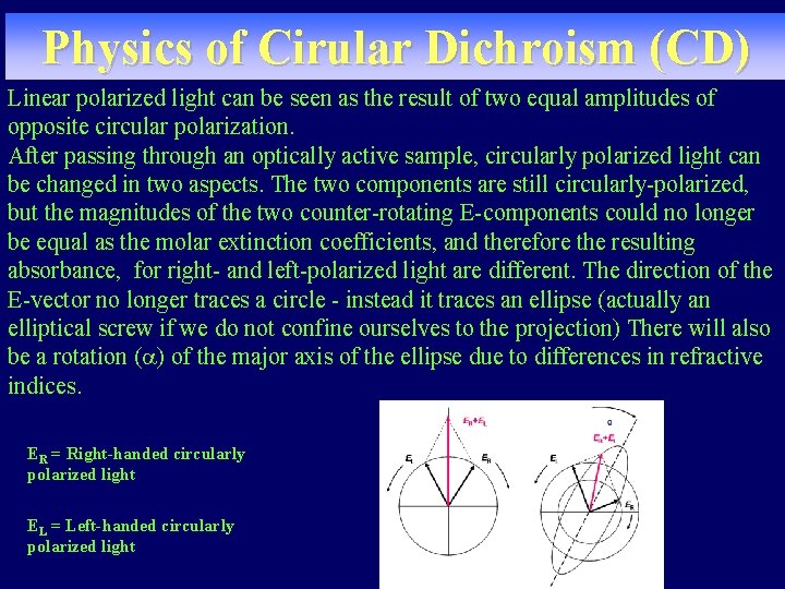 Physics of Cirular Dichroism (CD) Linear polarized light can be seen as the result Physics of Cirular Dichroism (CD) Linear polarized light can be seen as the result