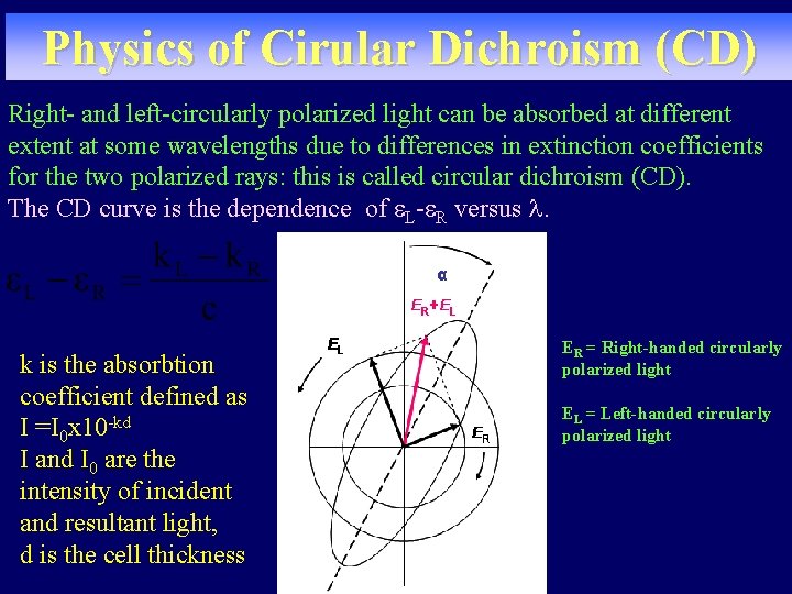 Physics of Cirular Dichroism (CD) Right- and left-circularly polarized light can be absorbed at Physics of Cirular Dichroism (CD) Right- and left-circularly polarized light can be absorbed at