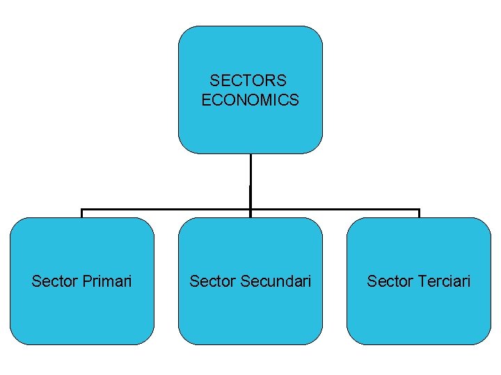 SECTORS ECONOMICS Sector Primari Sector Secundari Sector Terciari 