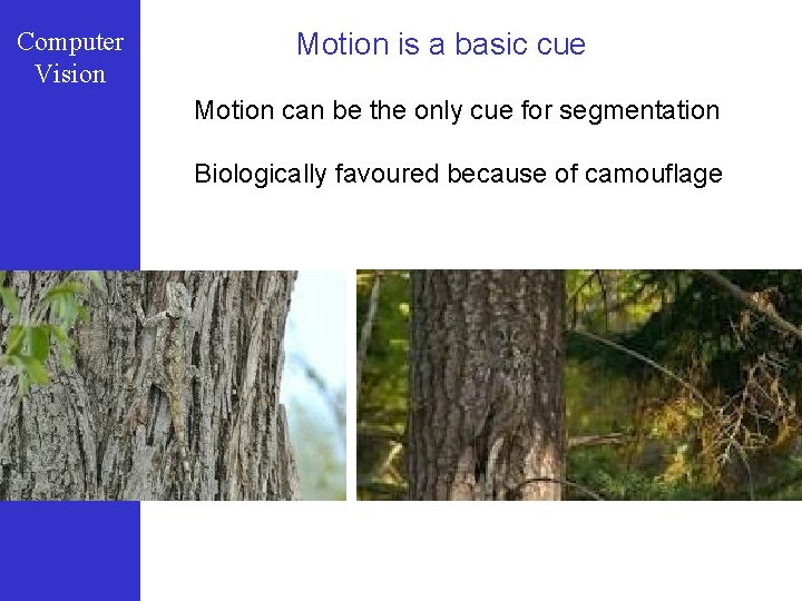 Computer Vision Motion is a basic cue Motion can be the only cue for