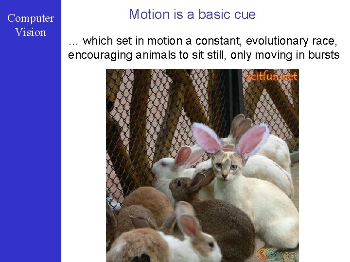 Computer Vision Motion is a basic cue … which set in motion a constant,