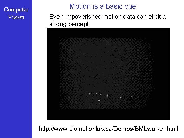 Computer Vision Motion is a basic cue Even impoverished motion data can elicit a