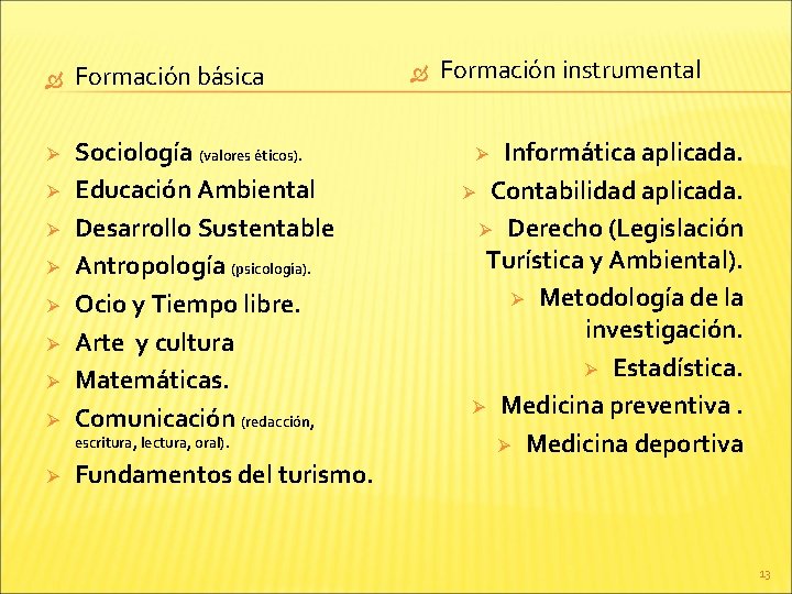  Formación básica Ø Sociología (valores éticos). Educación Ambiental Desarrollo Sustentable Antropología (psicología). Ocio