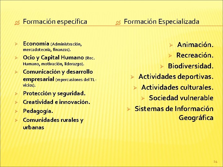  Formación específica Ø Economía (Administración, mercadotecnia, finanzas). Ø Ocio y Capital Humano (Rec.